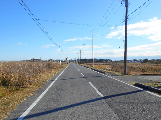 前面市道西から東