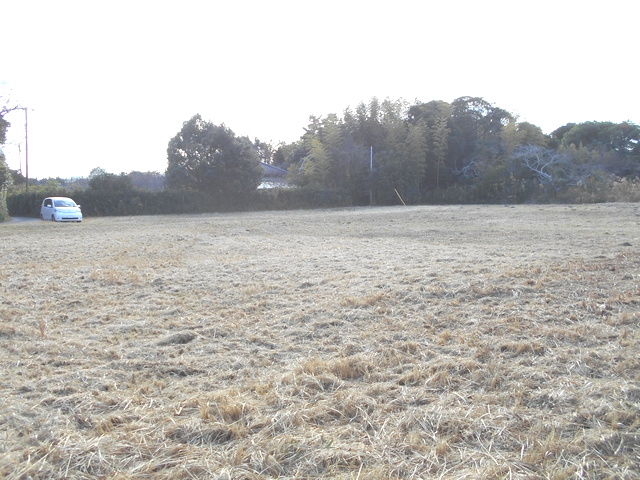 �����C���[�W