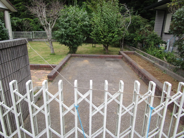 写真